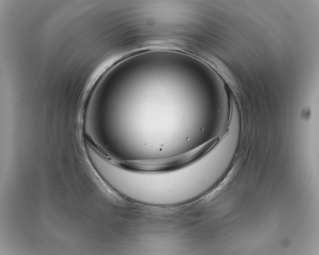 X0000090871196200708101327