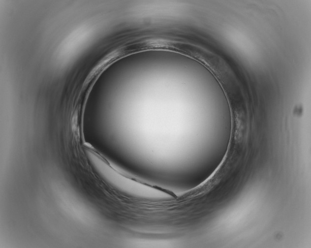 X0000090871198200708101327