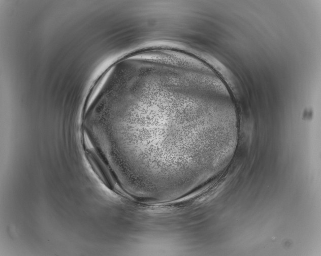 X0000090871199200708101327