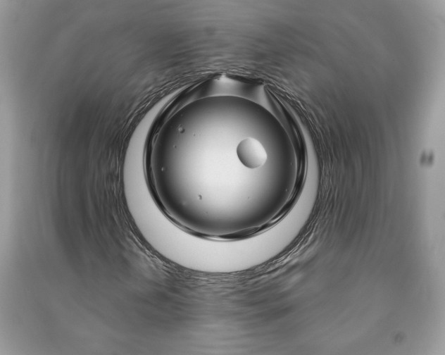 X0000090871202200708101326