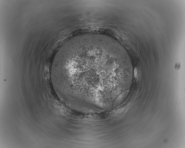 X0000090871203200708101326