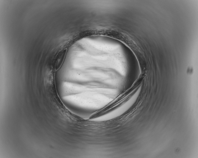 X0000090871204200708101326