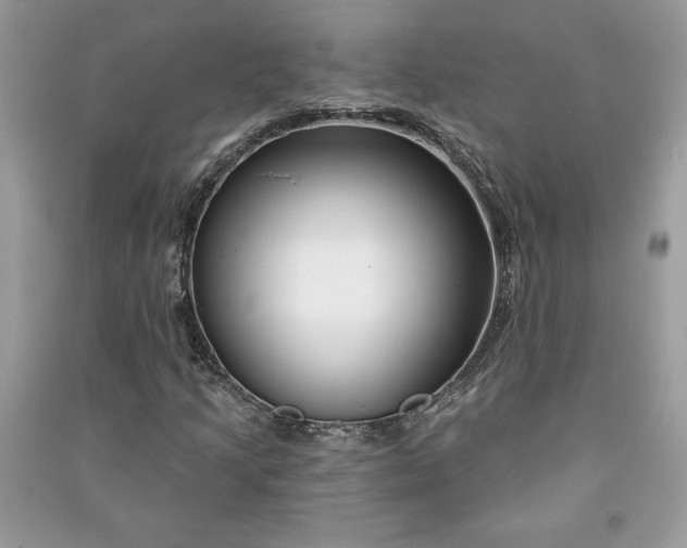 X0000090871205200708101326