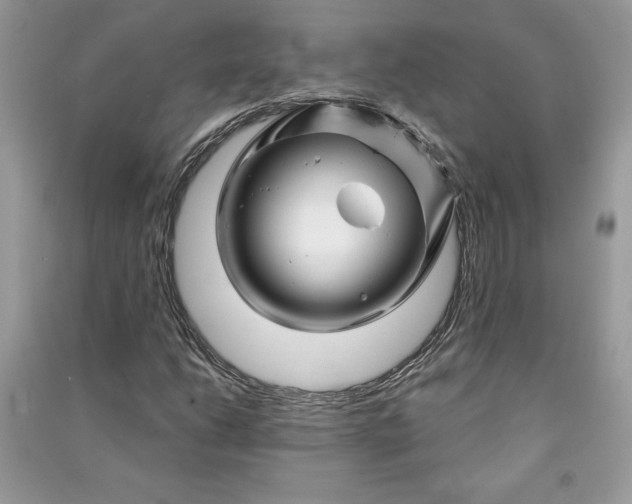 X0000090871206200708101326