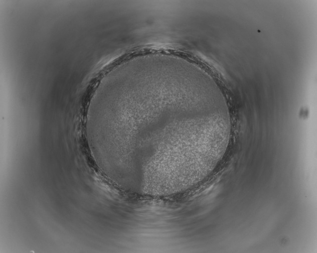 X0000090871207200708101326