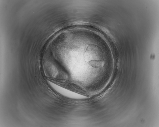 X0000090871209200708101326