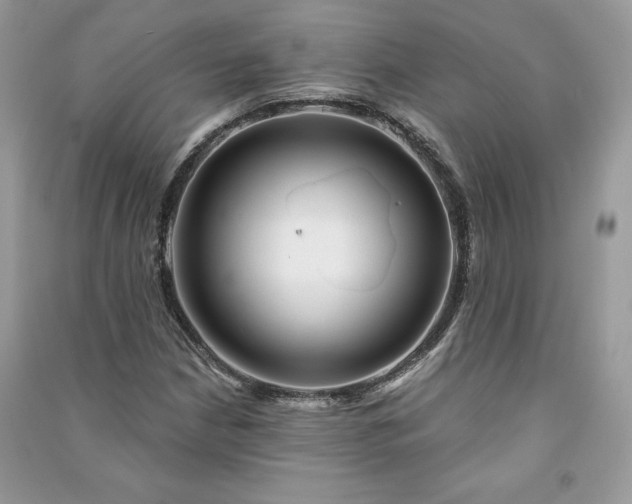 X0000090871210200708101326