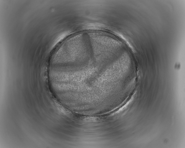 X0000090871211200708101326