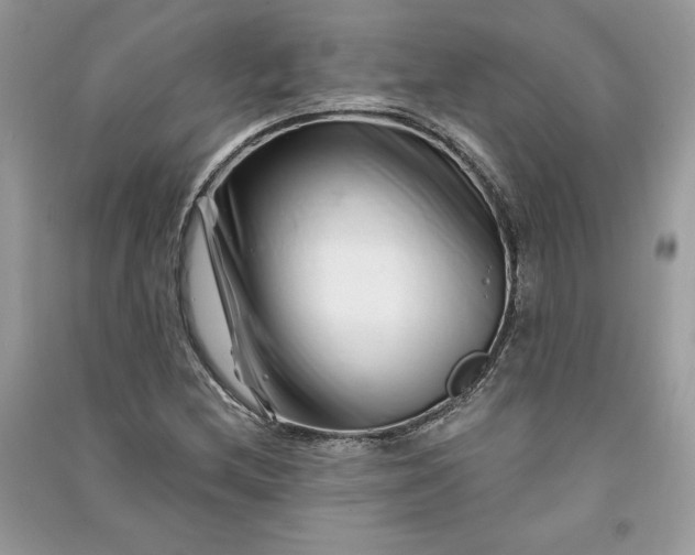 X0000090871212200708101326