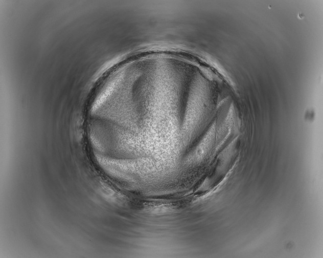 X0000090871213200708101326