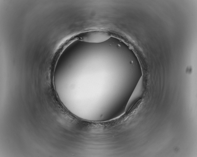 X0000090871214200708101326