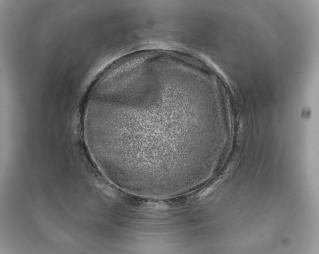 X0000090871215200708101326