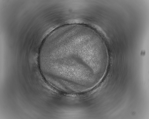 X0000090871217200708101326