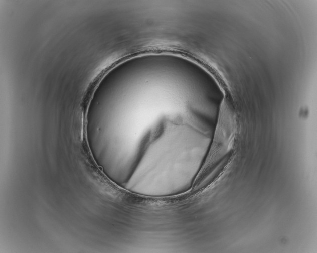 X0000090871219200708101326