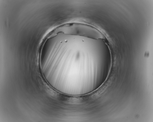 X0000090871224200708101326