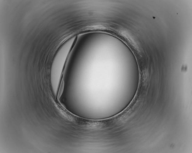 X0000090871225200708101326