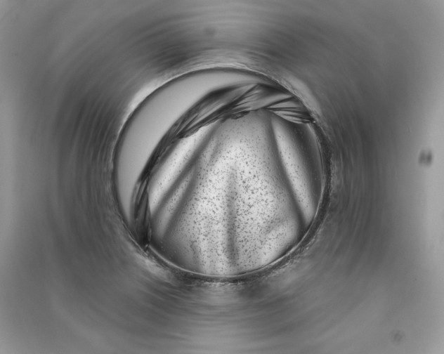 X0000090871226200708101326