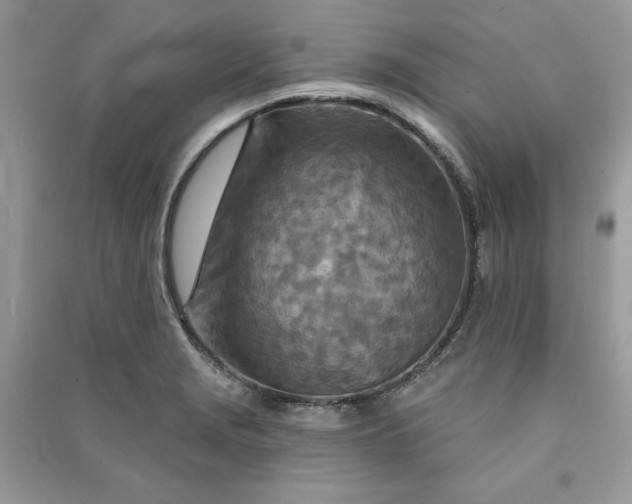 X0000090871229200708101327