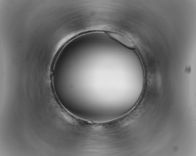 X0000090871230200708101327