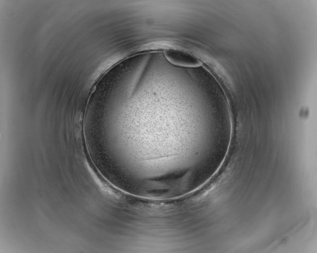 X0000090871233200708101327