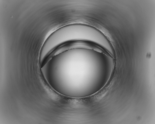 X0000090871234200708101327