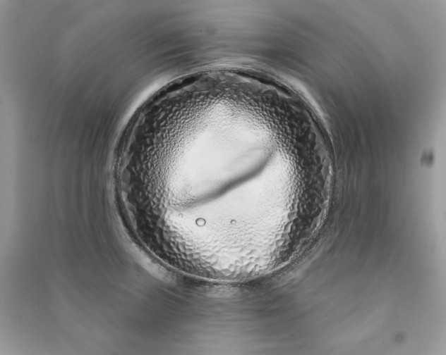 X0000090871235200708101327