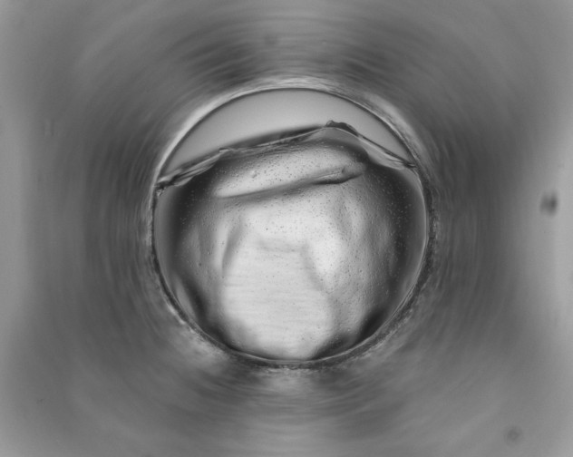 X0000090871236200708101327