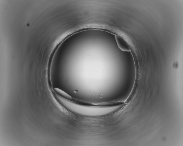 X0000090871237200708101327