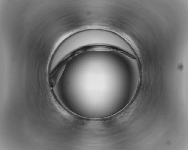 X0000090871238200708101327