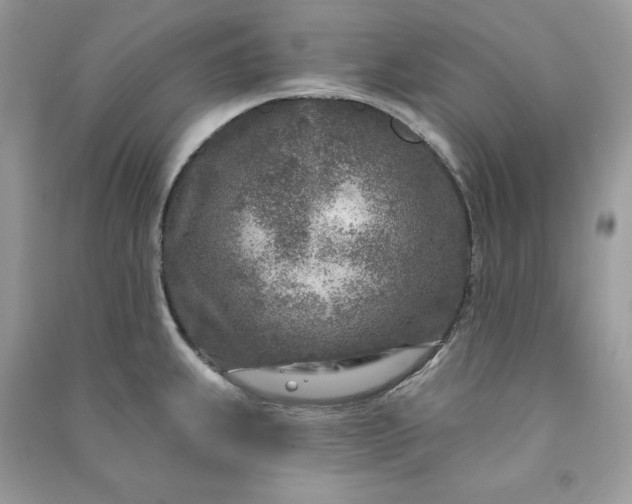 X0000090871239200708101327