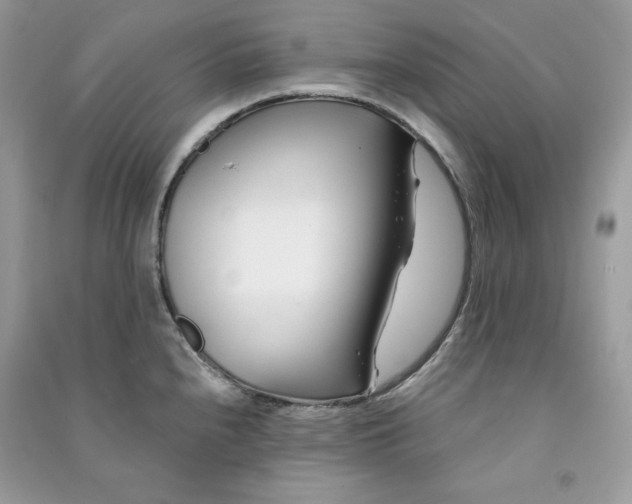 X0000090871240200708101327