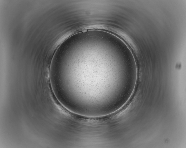 X0000090871241200708101327