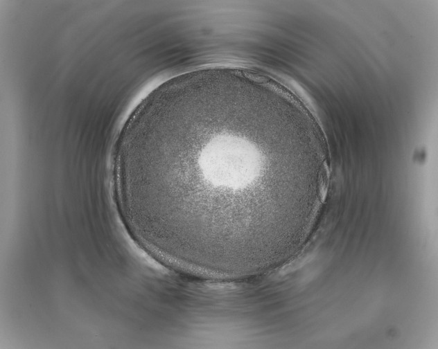 X0000090871243200708101327