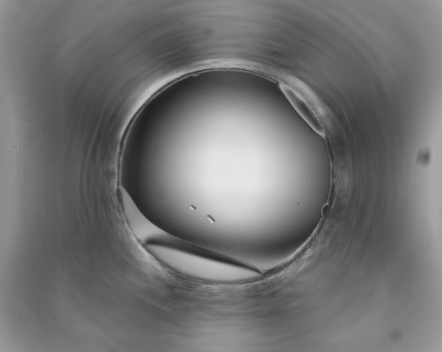 X0000090871244200708101327