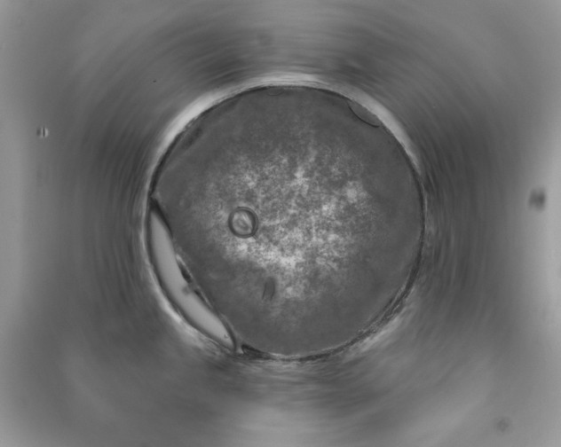 X0000090871245200708101327