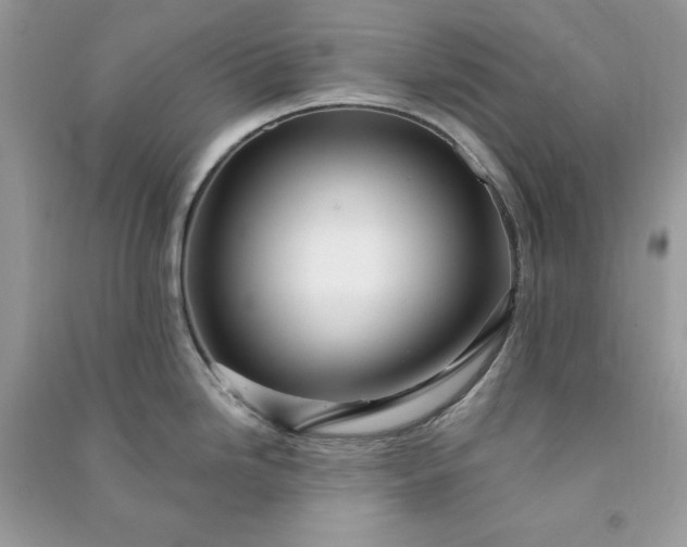 X0000090871246200708101327