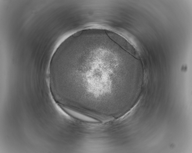 X0000090871247200708101327