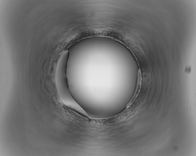 X0000090871249200708101326