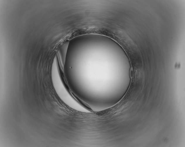 X0000090871250200708101326