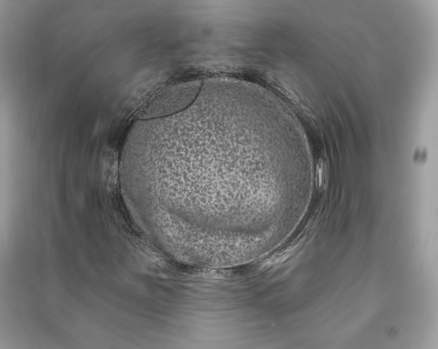 X0000090871251200708101326