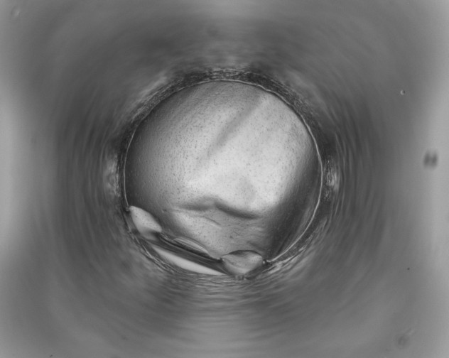 X0000090871252200708101326