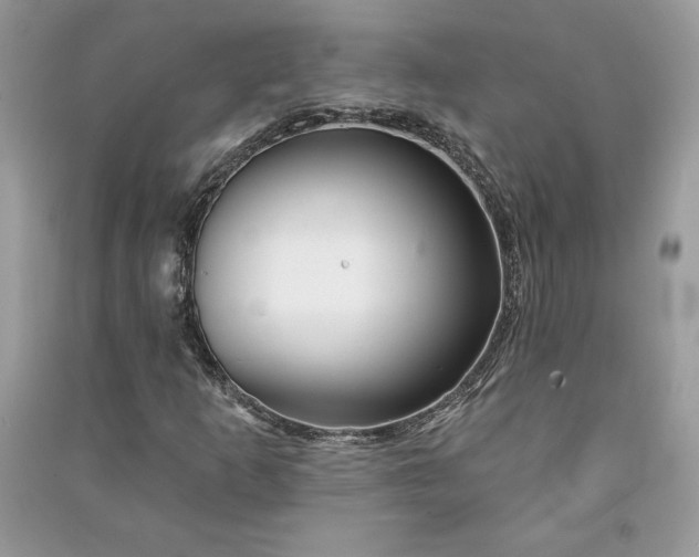 X0000090871253200708101326