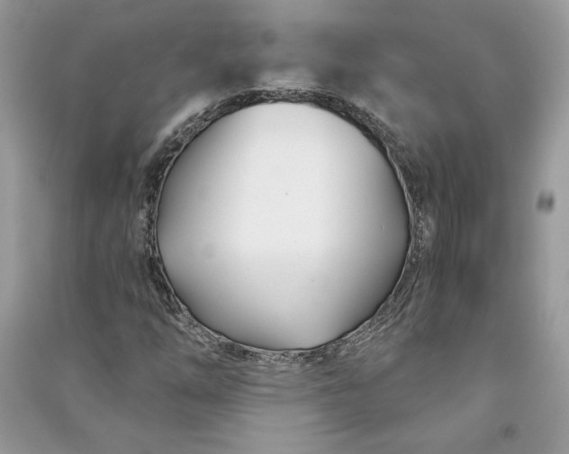 X0000090871254200708101326