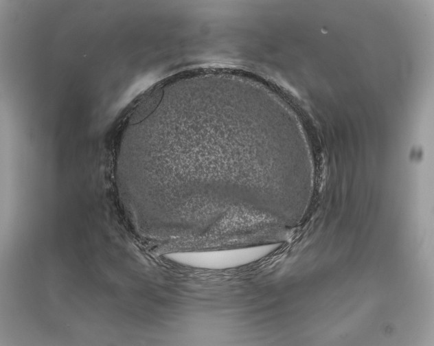 X0000090871255200708101326