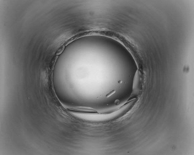 X0000090871257200708101326