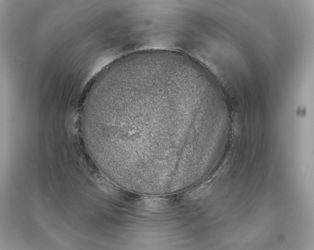 X0000090871258200708101326