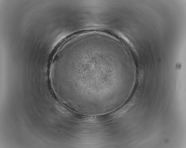 X0000090871259200708101326