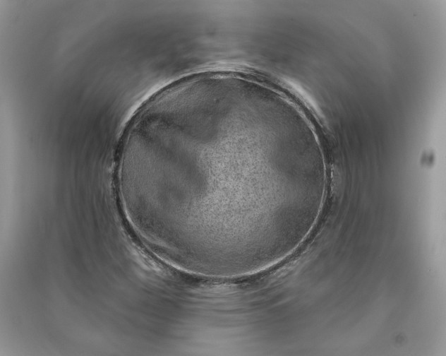 X0000090871260200708101326