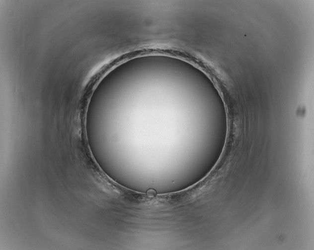 X0000090871262200708101326