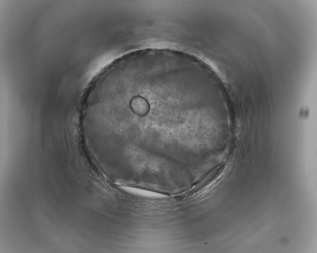 X0000090871263200708101326